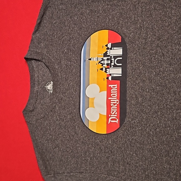 Disney Disneyland Park graphic tee Large ears castle Park merchandise - Picture 2 of 6